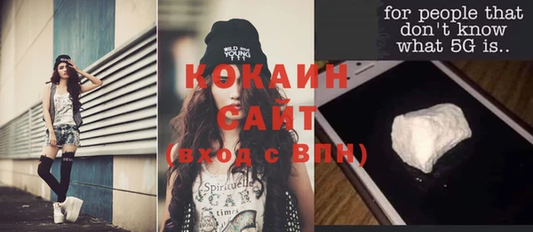 шишки Аркадак