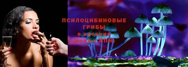 шишки Аркадак