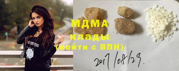 шишки Аркадак