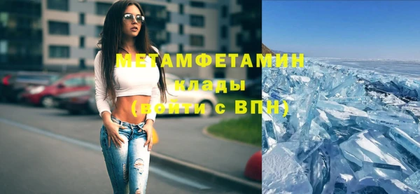 шишки Аркадак