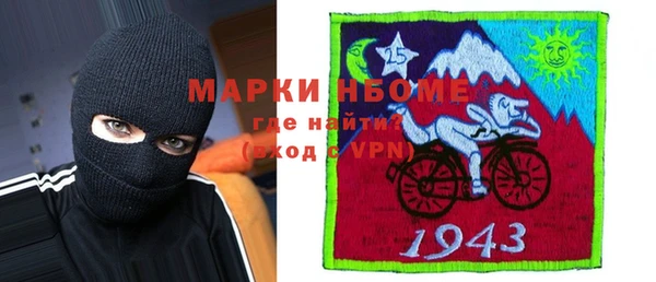 шишки Аркадак