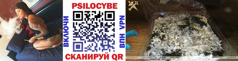 Галлюциногенные грибы Cubensis  гидра ТОР  Кирово-Чепецк 