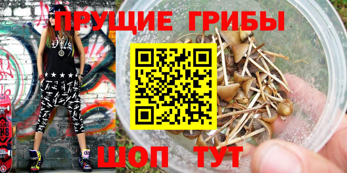 купить наркотики цена  Псилоцибиновые грибы Psilocybine cubensis  Вход с VPN  Кирово-Чепецк  Псилоцибиновые грибы MAGIC MUSHROOMS 
