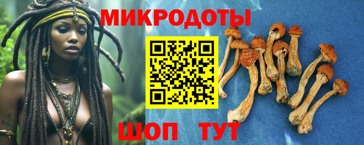 Галлюциногенные грибы мухоморы Кирово-Чепецк