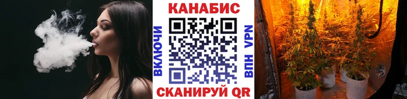Конопля сатива  цена наркотик  MEGA как зайти  Кирово-Чепецк 